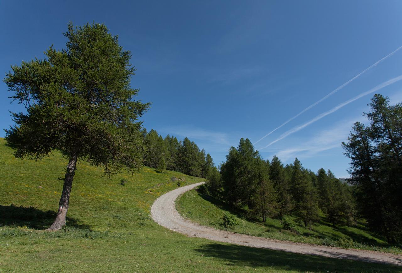 Les Hauts Des Auches Ancelle Εξωτερικό φωτογραφία